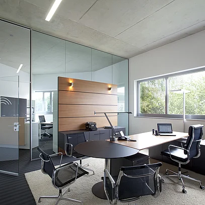 Ganzglas-Drehtür in Trennwand-System mit Einscheiben-Verglasung