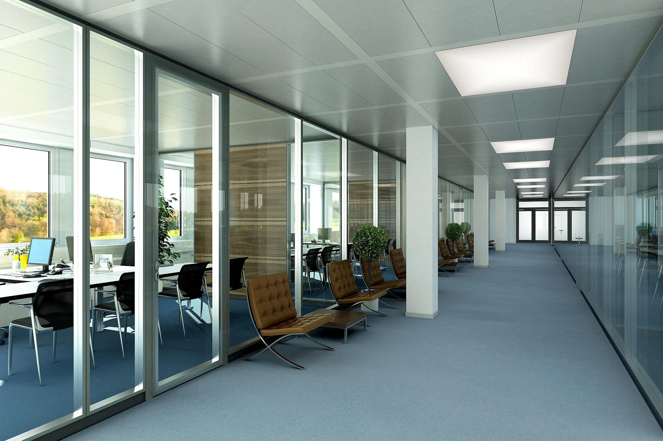 View of the office hallway, flush-mounted glazing combined with a matching tube frame door